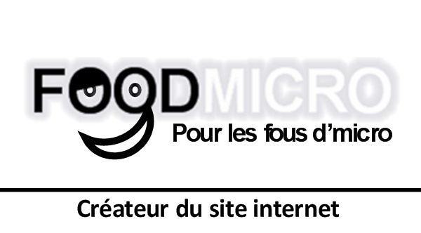 Foodmicro.com, créateur du site internet de l'association Chemin de Vie et dépanneur informatique à domicile