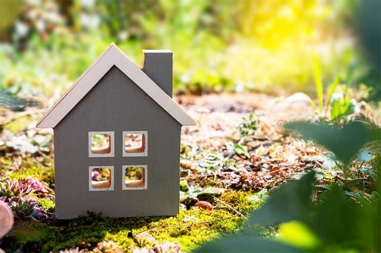 08.02.2026 : GÉOBIOLOGIE, GUIDES DE LUMIÈRE ET DECOUVERTE DES LIGNES DES 4 ELEMENTS